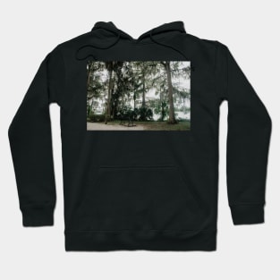 Bench at Kraft Azalea Garden Hoodie